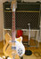 Rickenbacker 360/12 , Mapleglo: Neck - Front