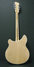 Rickenbacker 360/12 , Mapleglo: Full Instrument - Rear