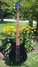 Rickenbacker 2030/4 , Jetglo: Body - Front