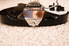 Rickenbacker 325/6 C64, Jetglo: Close up - Free2