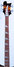 Rickenbacker 4003/4 , MonteBrown: Neck - Front