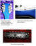 Rickenbacker 360/12 , Azureglo: Headstock - Rear