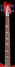 Rickenbacker 4001/4 , Fireglo: Neck - Front