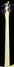 Rickenbacker 4001/4 CS, Cream: Neck - Rear