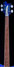 Rickenbacker 4003/4 FL, Blueburst: Neck - Front