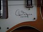 Rickenbacker 4001/4 , Mapleglo: Close up - Free2