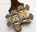 Rickenbacker 4001/4 , Autumnglo: Headstock - Rear