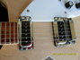 Rickenbacker 360/6 , Mapleglo: Close up - Free