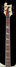 Rickenbacker 4001/4 BT, White: Neck - Front
