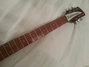 Rickenbacker 330/6 , Burgundy: Neck - Front