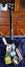 Rickenbacker 4003/4 , Jetglo: Full Instrument - Rear