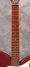 Rickenbacker 950/6 Tulip, Autumnglo: Neck - Front