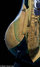 Rickenbacker 4000/4 Setneck, Custom: Free image