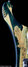 Rickenbacker 4000/4 Setneck, Custom: Close up - Free2