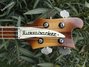 Rickenbacker 4001/4 , Walnut: Headstock