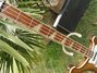 Rickenbacker 4001/4 , Walnut: Neck - Front