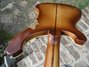 Rickenbacker 4001/4 , Walnut: Close up - Free2