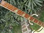 Rickenbacker 4001/4 BT, White: Full Instrument - Rear