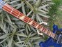 Rickenbacker 4003/4 BH BT, Midnightblue: Neck - Front