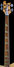 Rickenbacker 4001/4 , Mapleglo: Neck - Front