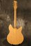 Rickenbacker 360/12 WB, Mapleglo: Full Instrument - Rear