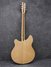 Rickenbacker 370/12 , Mapleglo: Full Instrument - Rear