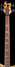Rickenbacker 4001/4 Mod, Custom: Neck - Front