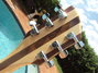 Rickenbacker 360/6 , Mapleglo: Headstock - Rear