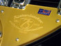 Rickenbacker 330/6 75th Ann, DCMetallic: Free image