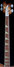 Rickenbacker 4001/4 WT, Autumnglo: Neck - Front