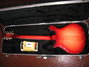 Rickenbacker 620/12 , Fireglo: Full Instrument - Rear