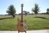 Rickenbacker 360/6 , Mapleglo: Full Instrument - Front