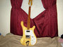 Rickenbacker 480/6 , Mapleglo: Full Instrument - Front