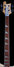 Rickenbacker 4003/4 , Mapleglo: Neck - Front