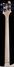 Rickenbacker 4003/4 , Mapleglo: Neck - Rear