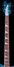 Rickenbacker 4003/4 , Turquoise: Neck - Front