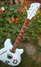 Rickenbacker 360/6 , Blue Boy: Neck - Front