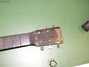 Rickenbacker Electro Spanish/6 Round Neck, Black: Headstock