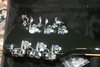 Rickenbacker 360/12 , Jetglo: Headstock - Rear
