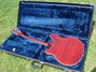 Rickenbacker 360/6 , Burgundy: Full Instrument - Rear