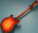 Rickenbacker 360/12 VP, Fireglo: Full Instrument - Rear