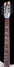 Rickenbacker 370/12 , Mapleglo: Neck - Front