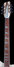 Rickenbacker 370/12 , Mapleglo: Neck - Front