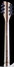 Rickenbacker 370/12 , Mapleglo: Neck - Rear