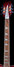 Rickenbacker 620/12 , Fireglo: Neck - Front