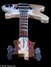 Rickenbacker 4003/4 , Mapleglo: Close up - Free2