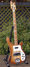 Rickenbacker 4001/4 , Walnut: Full Instrument - Front