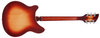 Rickenbacker 360/6 , Fireglo: Full Instrument - Rear