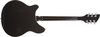 Rickenbacker 360/6 , Jetglo: Full Instrument - Rear