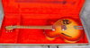 Rickenbacker 330/6 F, Fireglo: Free image